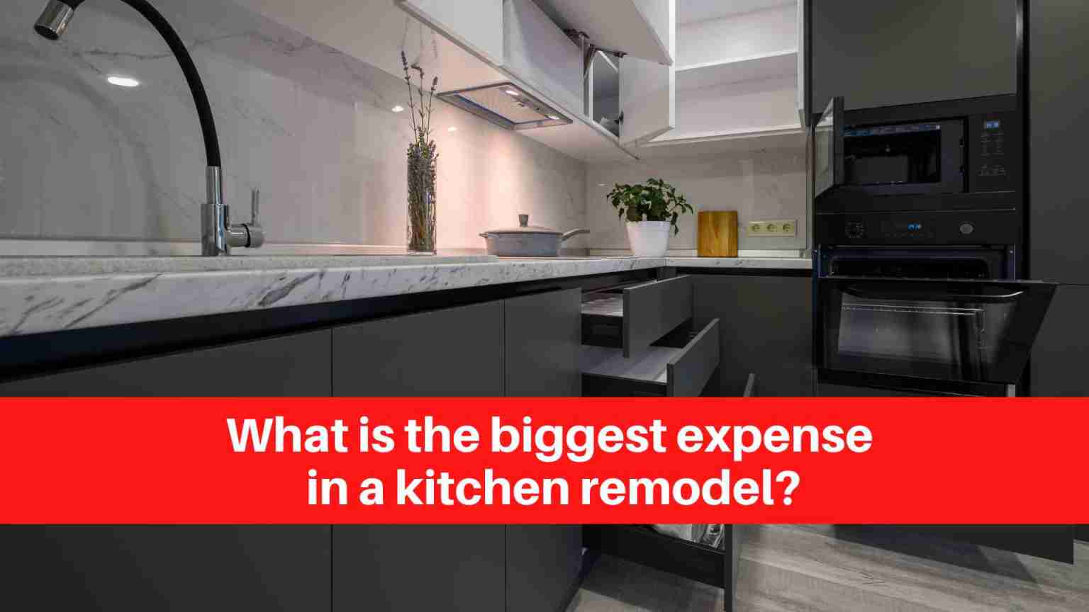 What is the biggest expense in a kitchen remodel (1)
